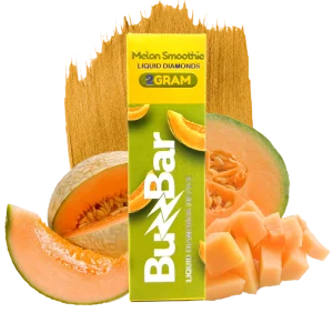 Melon Smoothie